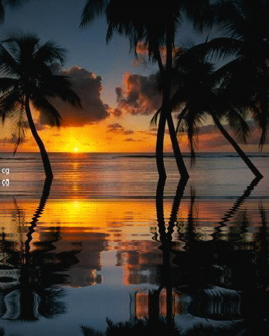reflet coucher de soleil